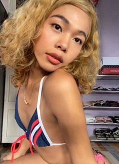 Nicole - Transsexual escort in Cebu City Photo 1 of 8