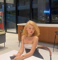 Nicole - Transsexual escort in Cebu City