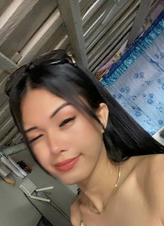 Nicole - Transsexual escort in Manila Photo 7 of 13