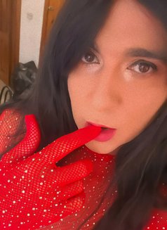 Nicole Guilmo BRAZILIAN - Transsexual escort in Malta Photo 9 of 12