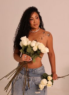 Nicole Prada - Brazilian 🥰 - escort in Dubai Photo 14 of 24