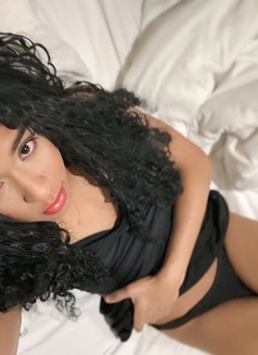 Nicole Trans Brazilian - Transsexual escort in Phuket Photo 4 of 5