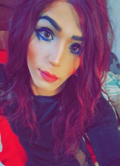 Nicoole - Acompañantes transexual in Amman Photo 11 of 16