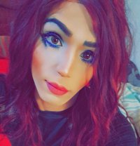 Nicoole - Acompañantes transexual in Amman