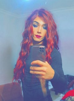 Nicoole - Acompañantes transexual in Amman Photo 14 of 16