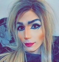 Nicoole - Acompañantes transexual in Amman