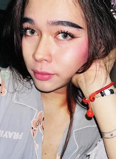 Nics Sy - Acompañantes transexual in Manila Photo 11 of 13