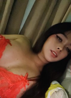 Nics Sy - Transsexual escort in Manila Photo 6 of 7