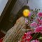 🥂🥀NIDHI CAM & MEET GFE 🥀🥂 - escort in Hyderabad Photo 4 of 5
