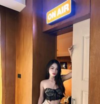 Nidli - Transsexual escort in Bangkok