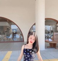 Nidli - Transsexual escort in Bangkok