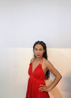 Nidnoy - escort in Phuket Photo 5 of 5