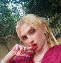 Night - Acompañantes transexual in Cairo