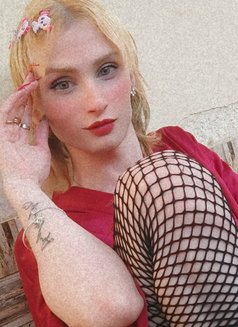 Night - Transsexual escort in Cairo Photo 3 of 5