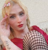 Night - Acompañantes transexual in Cairo