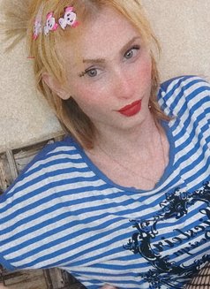 Night - Transsexual escort in Cairo Photo 4 of 5