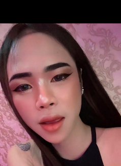 Night Thai Ladyboy - Masajista in Doha Photo 1 of 6