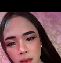 Night Thai Ladyboy - Masajista in Doha