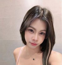Nika professional Thai Massage 🇹🇭 - Transsexual escort in Singapore