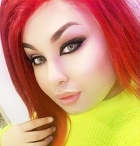 Niki - Transsexual escort in Beirut