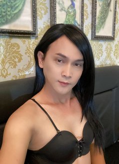 Niki Tama - Transsexual escort in Bali Photo 7 of 7