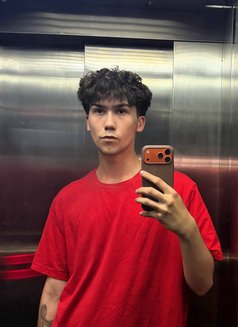 Nikita 19 First Time - Acompañantes masculino in Dubai Photo 1 of 12