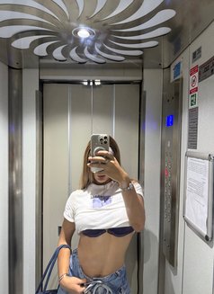 Nikita beautiful and elegant - Transsexual escort in Bali Photo 5 of 13