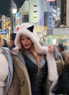 Nikita beautiful Turkish girl big ass - Transsexual escort in Ho Chi Minh City Photo 17 of 19