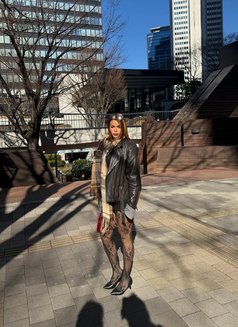 Nikita beautiful Turkish girl big ass - Transsexual escort in Ho Chi Minh City Photo 18 of 19