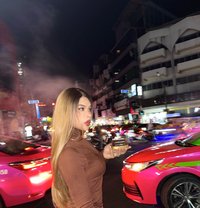 Nikita beautiful Turkish girl - Acompañantes transexual in Bali