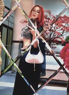 Nikita - Transsexual escort in New Delhi Photo 29 of 29