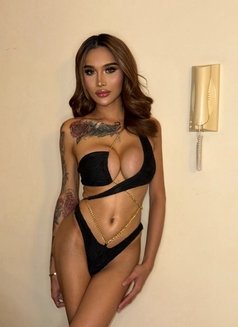 Nikita Dragonn (The Pornstar) - Transsexual escort in Dubai Photo 10 of 30