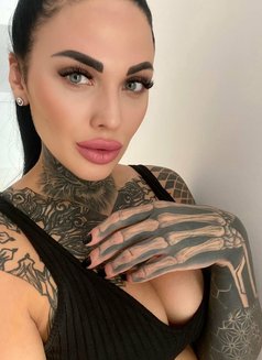 Sarma Dolls*Nikita - escort in Riyadh Photo 1 of 26