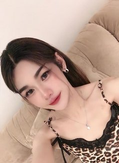 Nikki 16 - Transsexual escort in Khobar Photo 2 of 6