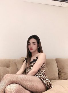 Nikki 16 - Transsexual escort in Khobar Photo 3 of 6