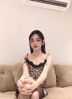 Nikki 16 - Transsexual escort in Khobar Photo 4 of 6