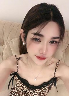 Nikki 16 - Transsexual escort in Khobar Photo 6 of 6