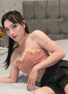 Nikki 16 - Transsexual escort in Khobar Photo 2 of 8