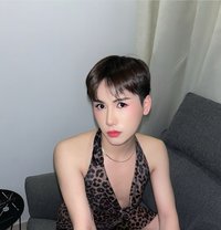 Nikki,69,RIM,massage,Both - Transsexual escort in Al Manama