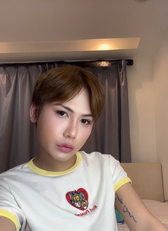 Nikki.cum.Rim,big Boshar muscat - Acompañantes transexual in Muscat Photo 11 of 11