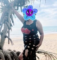 Nikki (Genuine independent escort) - escort in Colombo