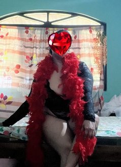 Nikki (Genuine independent escort) - escort in Colombo Photo 7 of 8