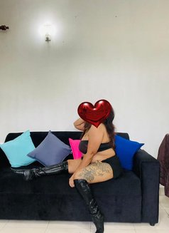 Nikki (Genuine Independent Escort) - puta in Colombo Photo 5 of 9