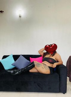 Nikki (Genuine Independent Escort) - puta in Colombo Photo 8 of 9