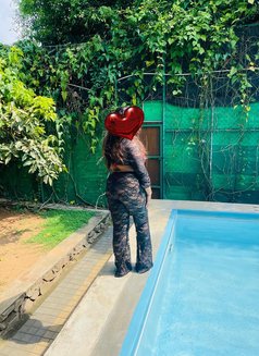 Nikki (Genuine Independent Escort) - escort in Colombo Photo 7 of 12