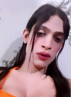 Nikki Gupta - Acompañantes transexual in New Delhi Photo 1 of 8