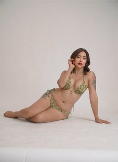 Nikki Hottest Sex/GFE/Versa - Acompañantes transexual in Singapore Photo 22 of 27