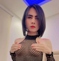 Available 🇹🇭🇸🇦 - Transsexual escort in Dammam