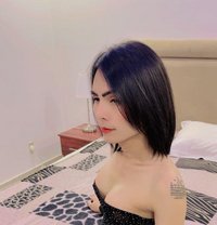 Available 🇹🇭🇸🇦 - Transsexual escort in Dammam