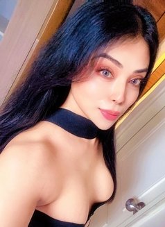 Nikki Roy - Transsexual escort in Kolkata Photo 19 of 27